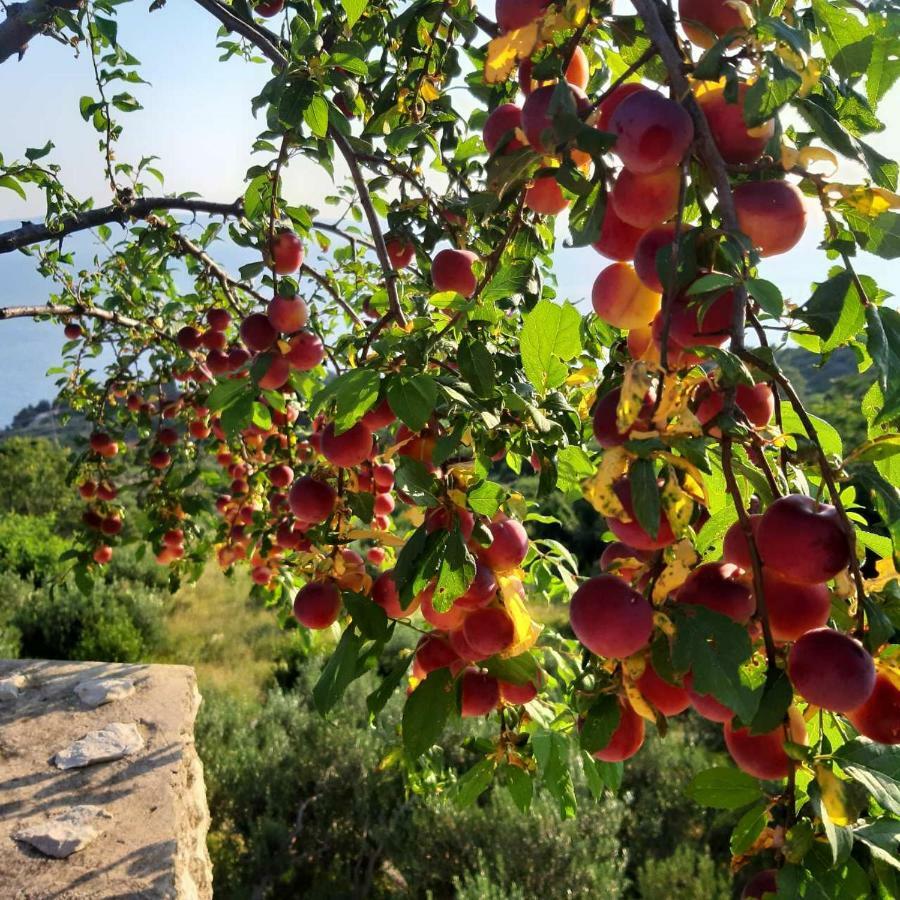 Villa Marija Подгора Екстериор снимка